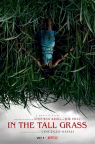 В высокой траве (2019) смотреть онлайн бесплатно в хорошем качестве