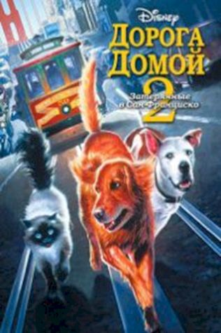Дорога домой 2: Затерянные в Сан-Франциско (1996) смотреть онлайн бесплатно в хорошем качестве