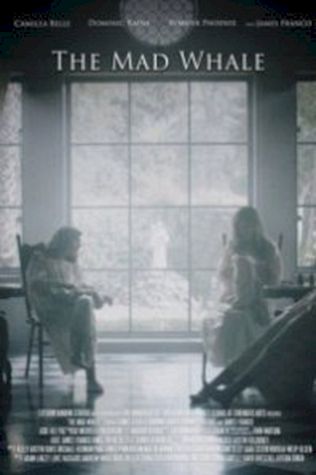 Безумный кит (2017) смотреть онлайн бесплатно в хорошем качестве
