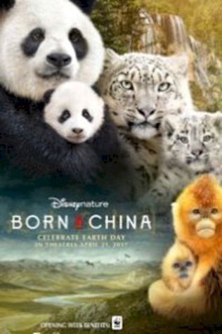 Рожденные в Китае (2016) смотреть онлайн бесплатно в хорошем качестве